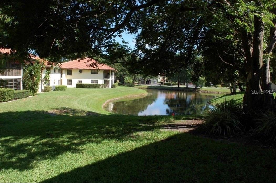 Details for 2006 Hammock Pine Boulevard 2006, CLEARWATER, FL 33761