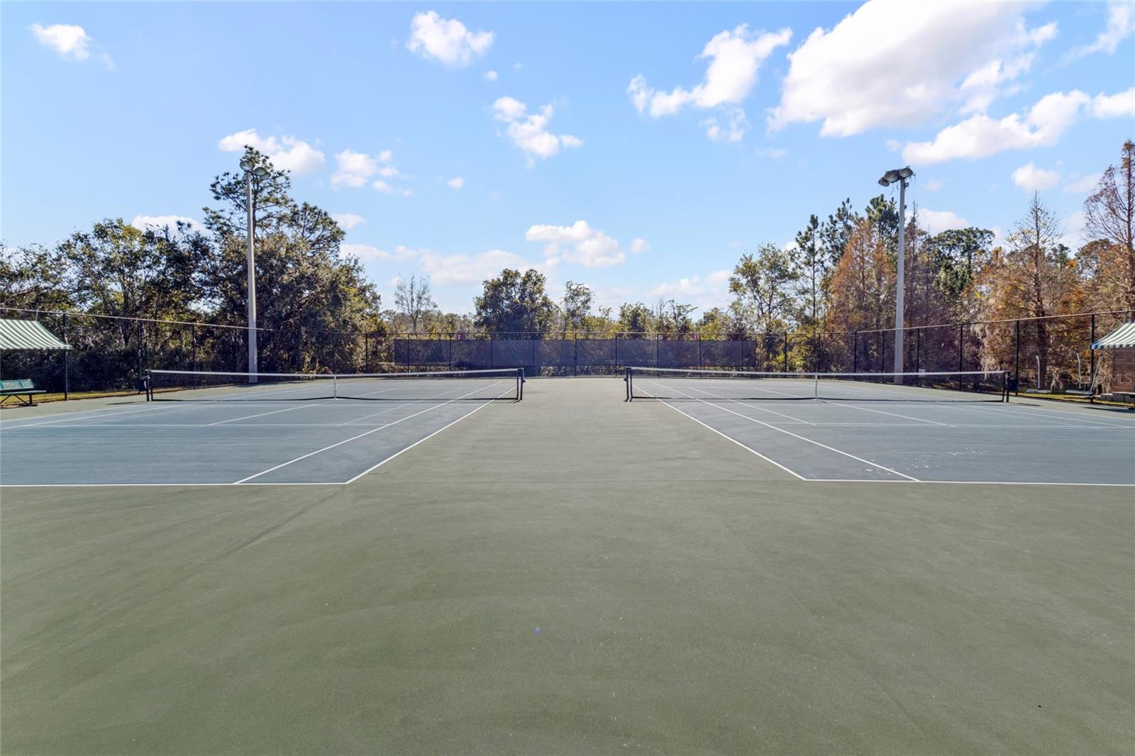 Image 43 of 47 For 4553 Pointe O Woods Drive