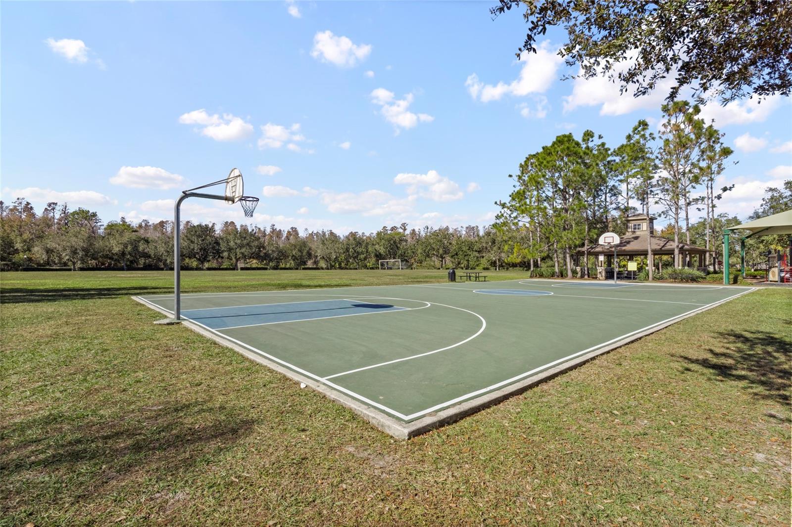 Image 44 of 47 For 4553 Pointe O Woods Drive