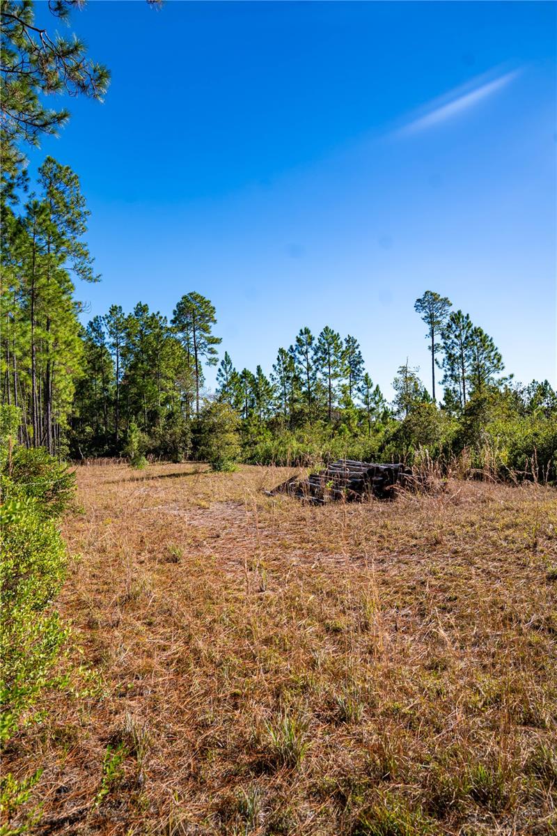 Details for 101 Thyme Drive, INTERLACHEN, FL 32148