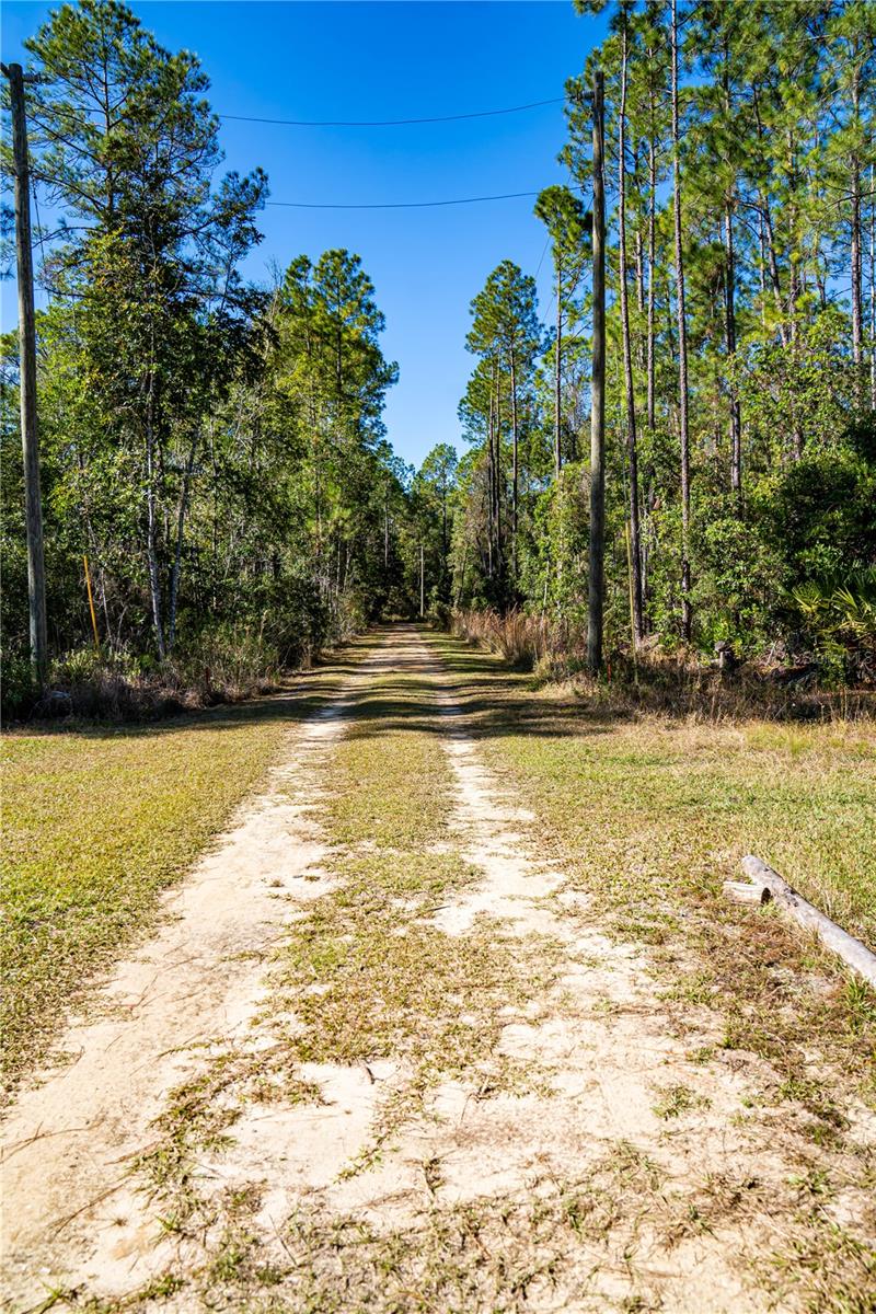 Image 10 of 29 For 101 Thyme Drive