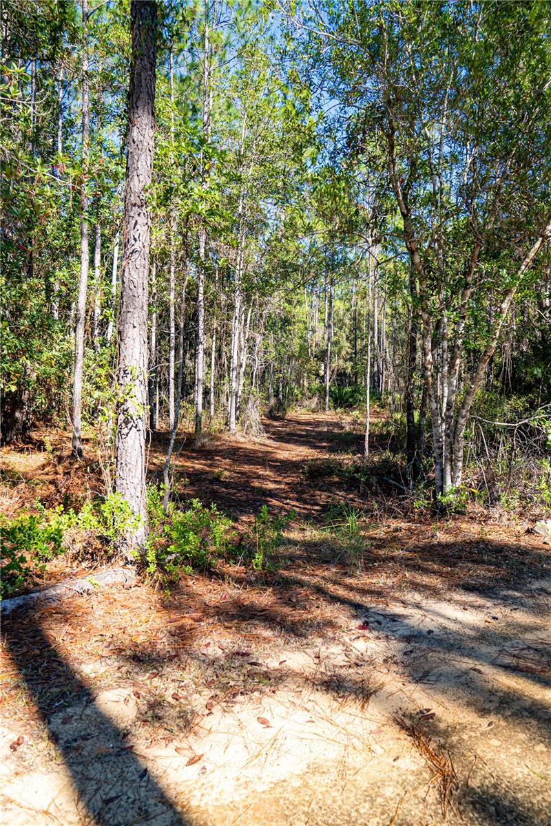 Image 11 of 29 For 101 Thyme Drive