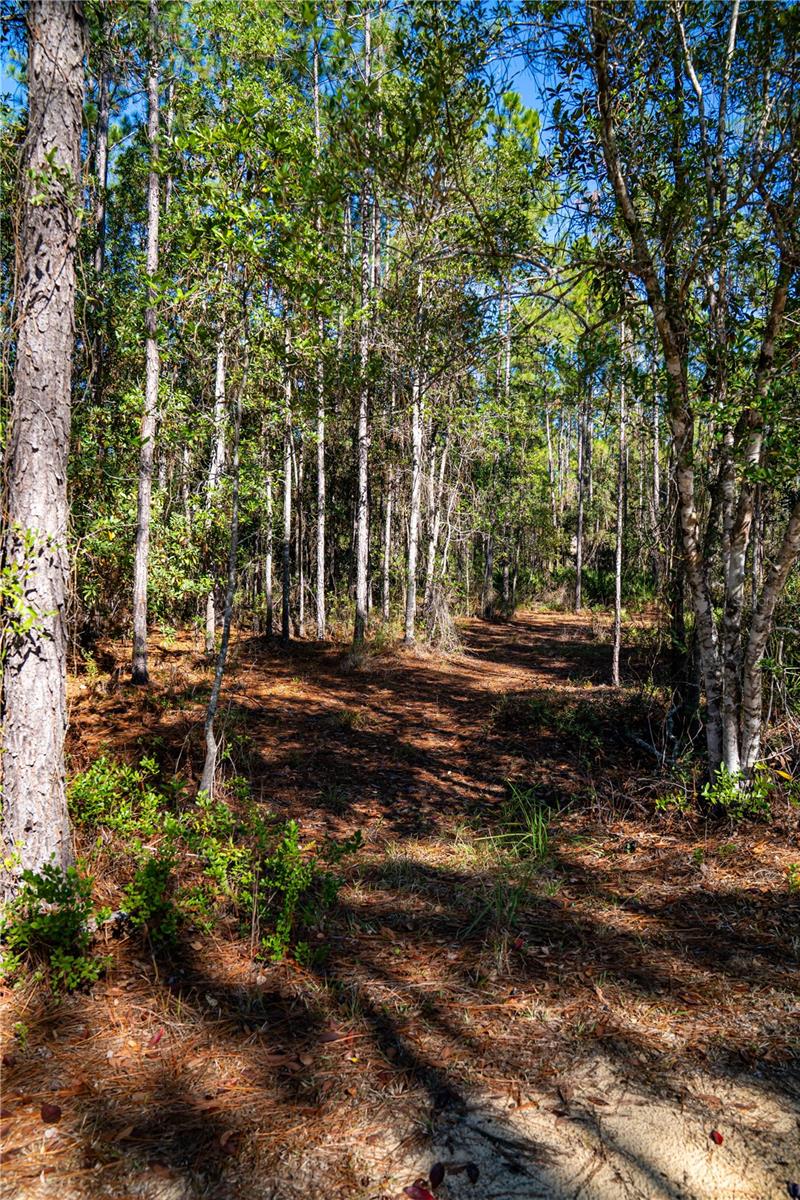 Image 12 of 29 For 101 Thyme Drive