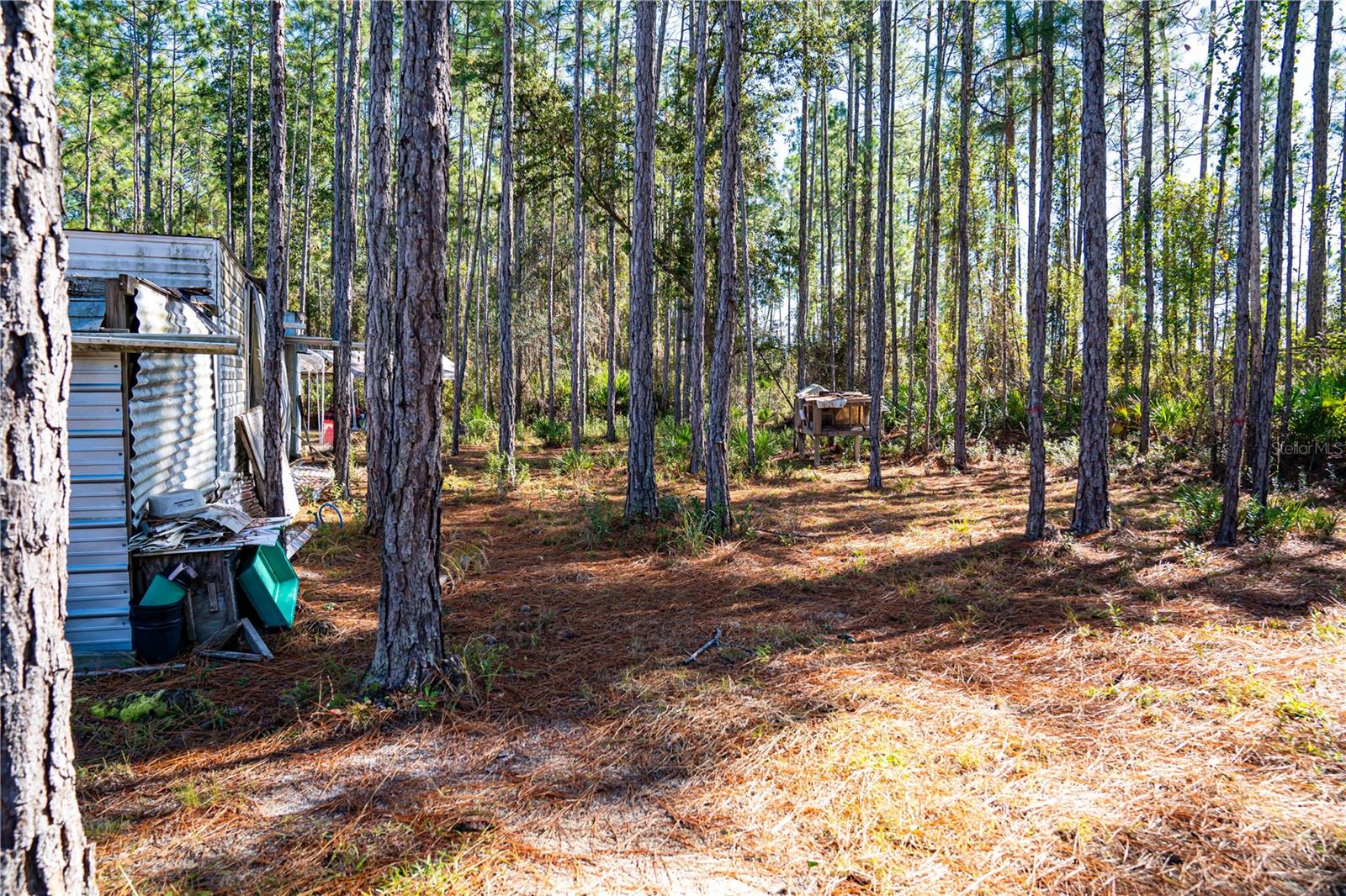 Image 15 of 29 For 101 Thyme Drive