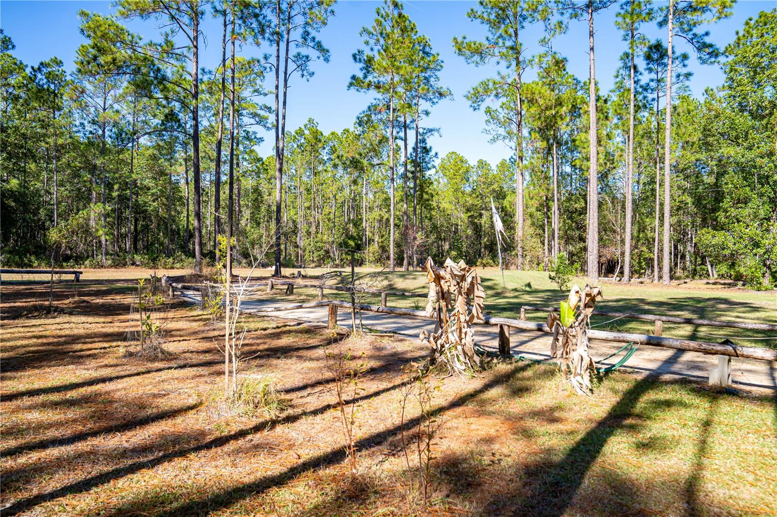 Image 16 of 29 For 101 Thyme Drive