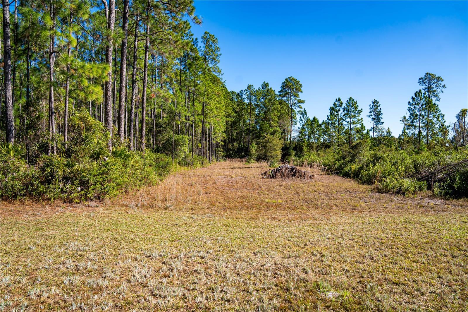 Image 2 of 29 For 101 Thyme Drive