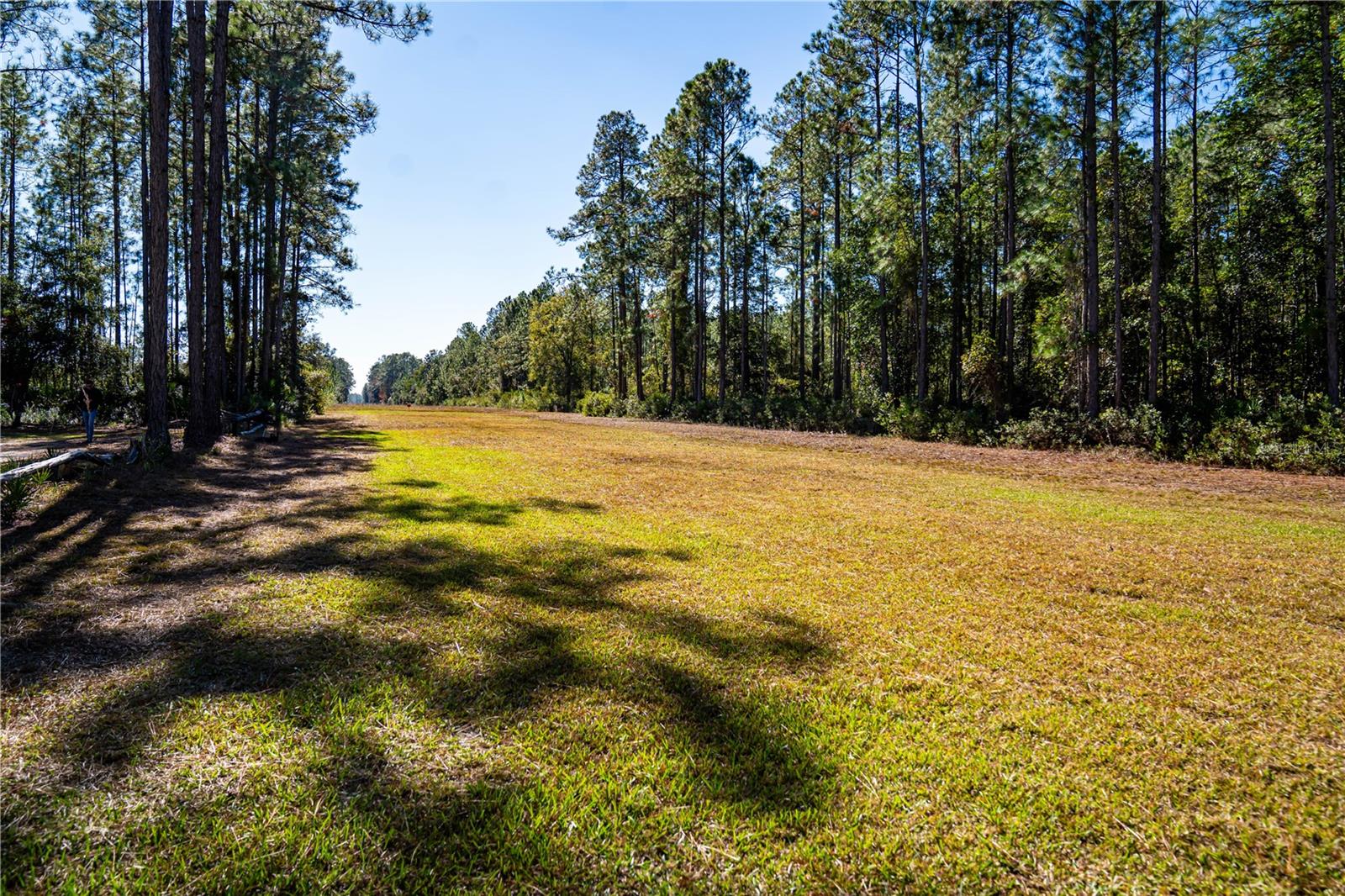 Image 23 of 29 For 101 Thyme Drive