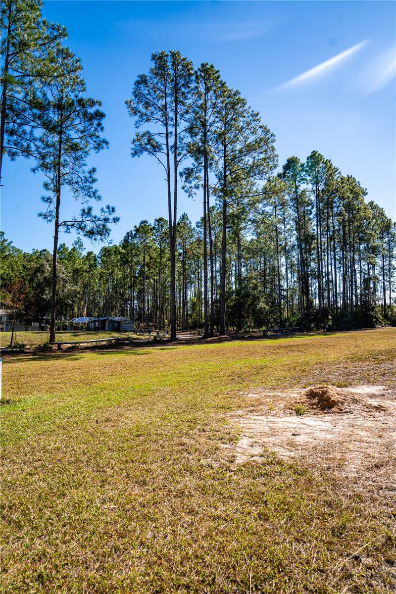 Image 26 of 29 For 101 Thyme Drive