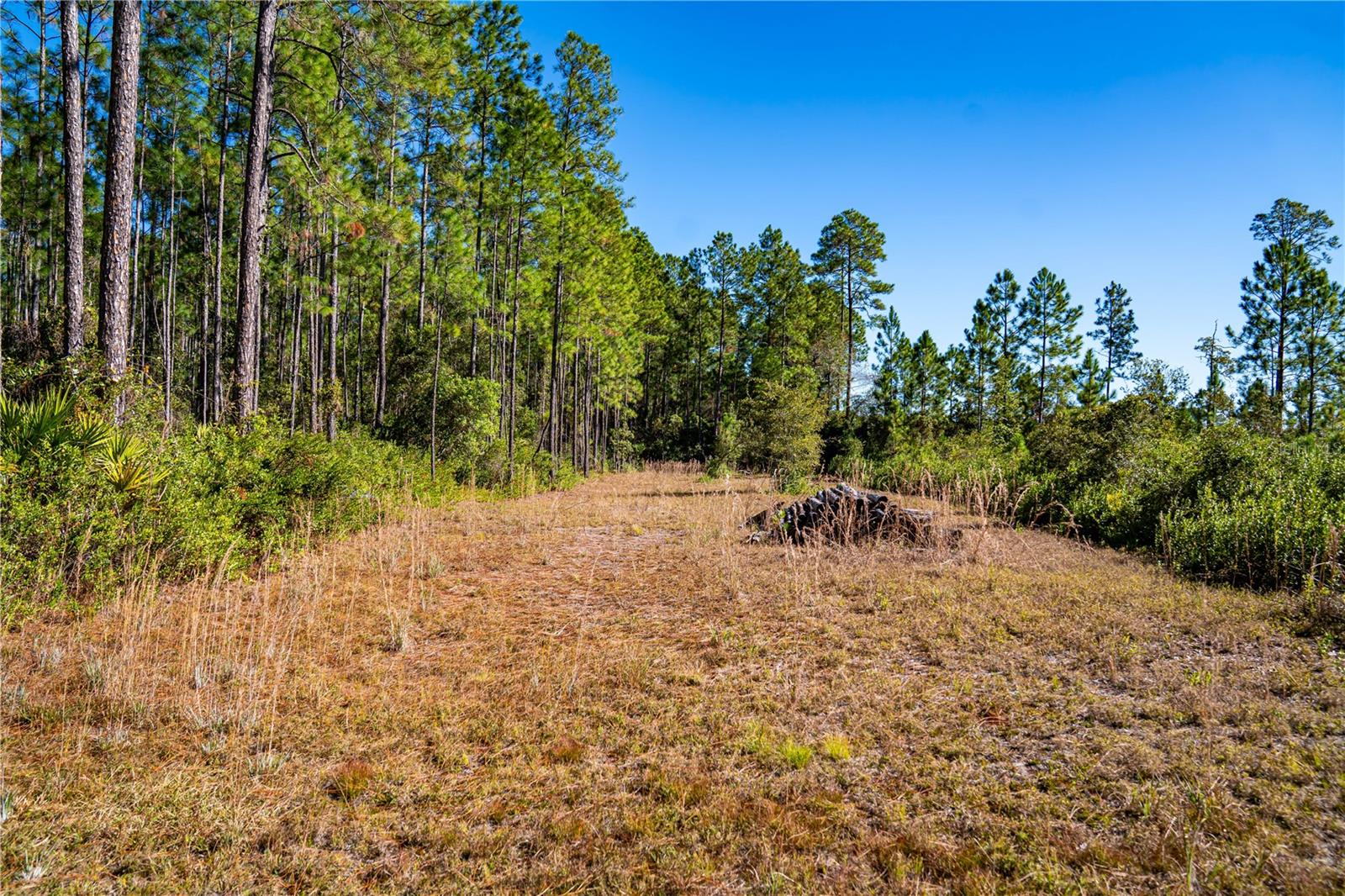 Image 28 of 29 For 101 Thyme Drive