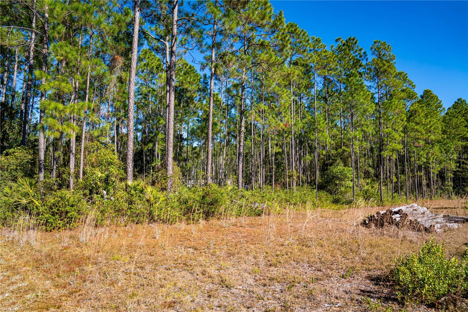 Image 29 of 29 For 101 Thyme Drive