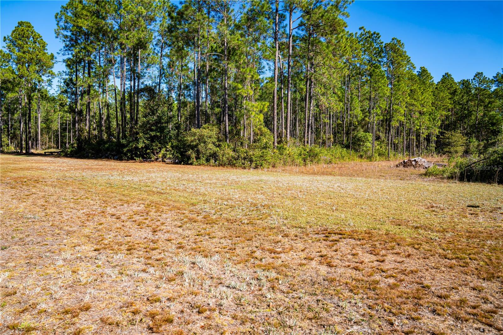 Image 3 of 29 For 101 Thyme Drive