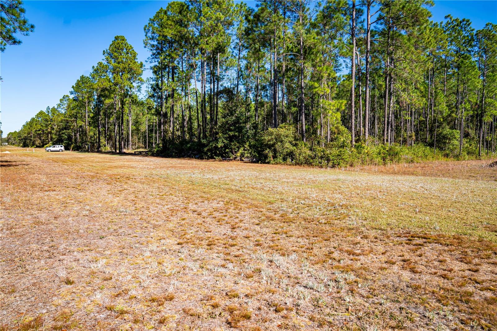 Image 4 of 29 For 101 Thyme Drive