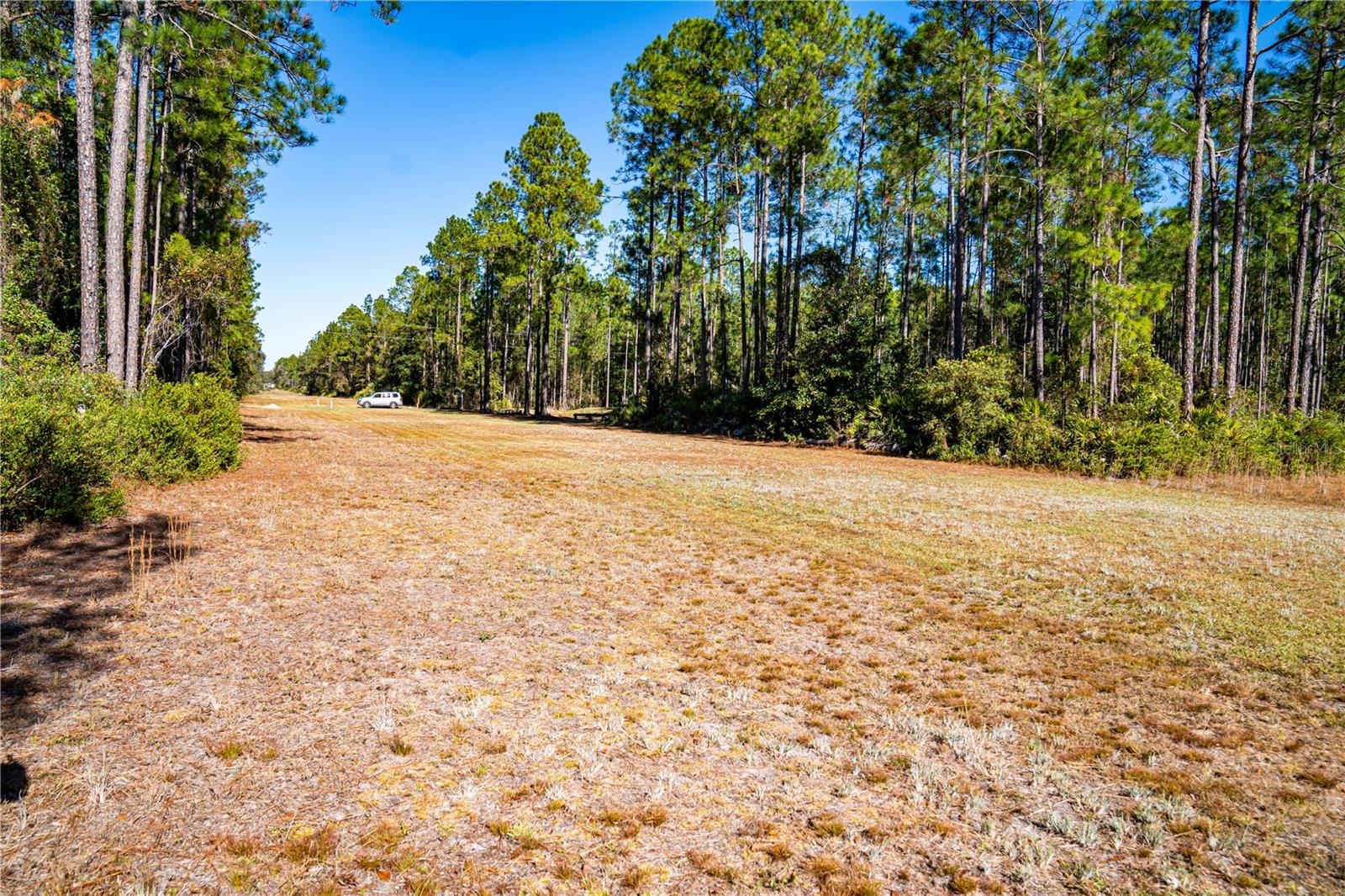 Image 5 of 29 For 101 Thyme Drive