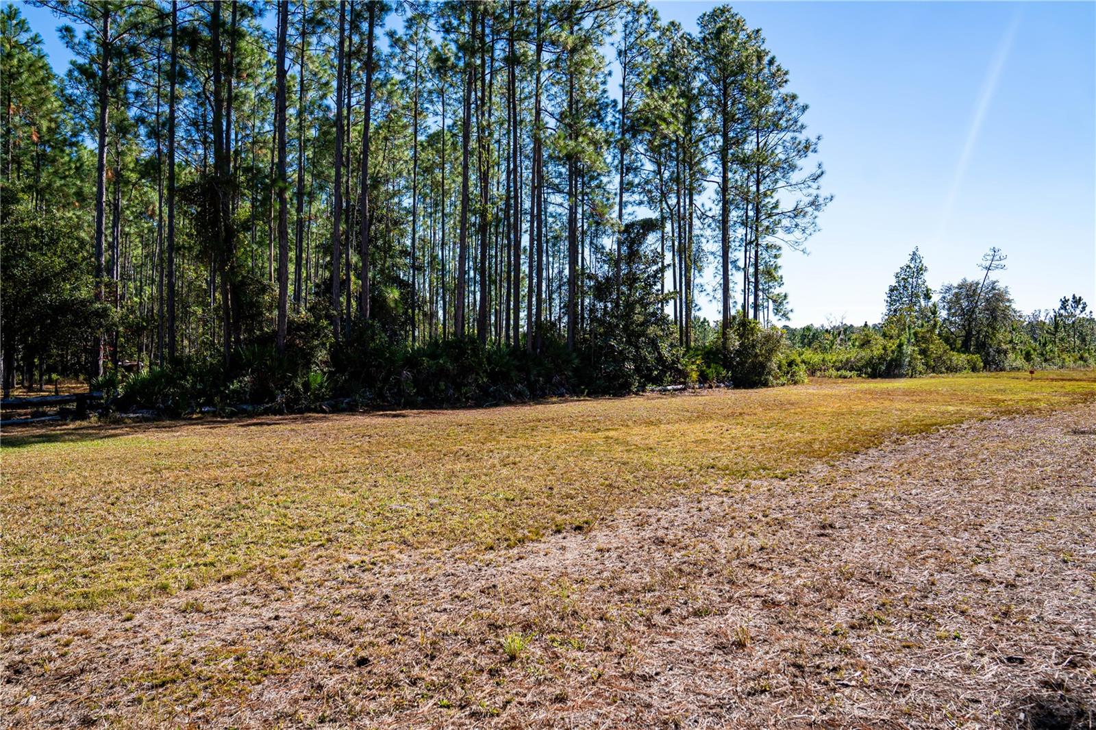 Image 7 of 29 For 101 Thyme Drive