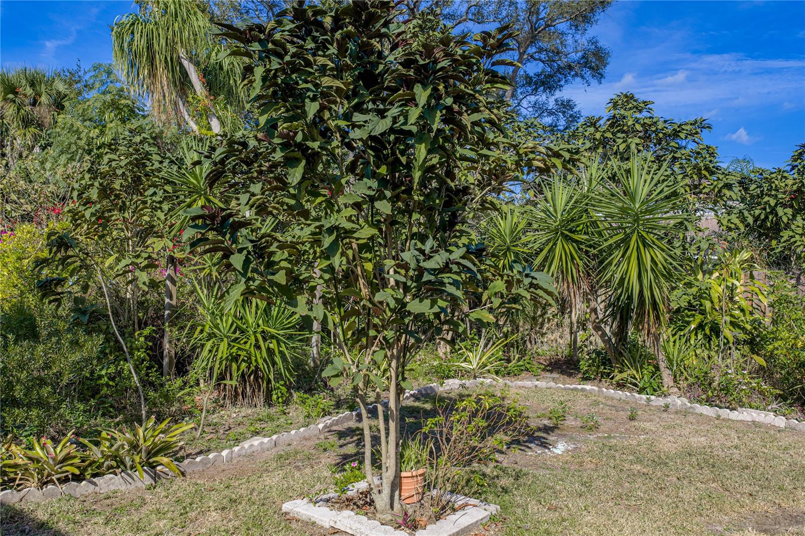 Image 61 of 64 For 4346 Breckenridge Way 5