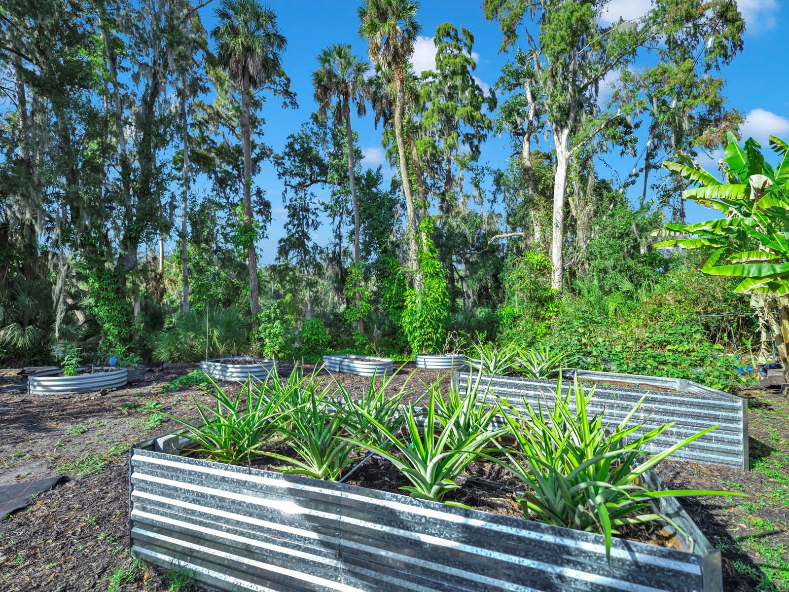 Image 86 of 96 For 11562 Monette Road