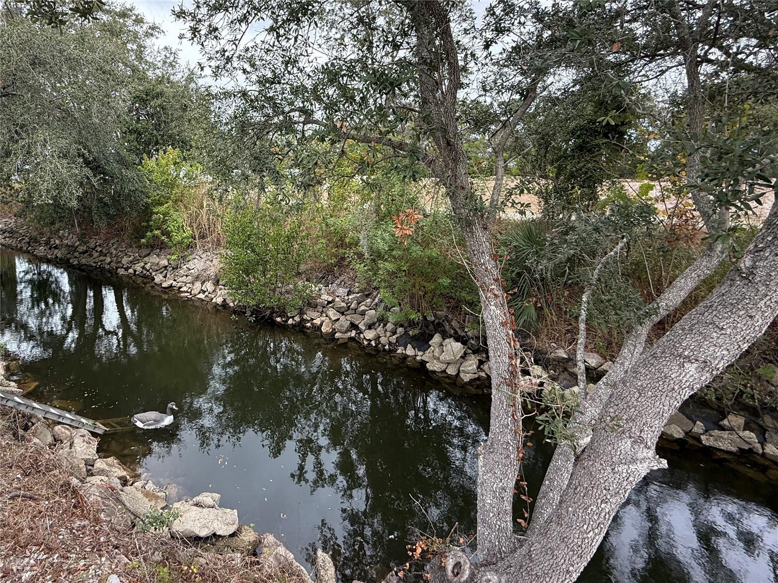 Image 18 of 37 For 221 Saint George Circle