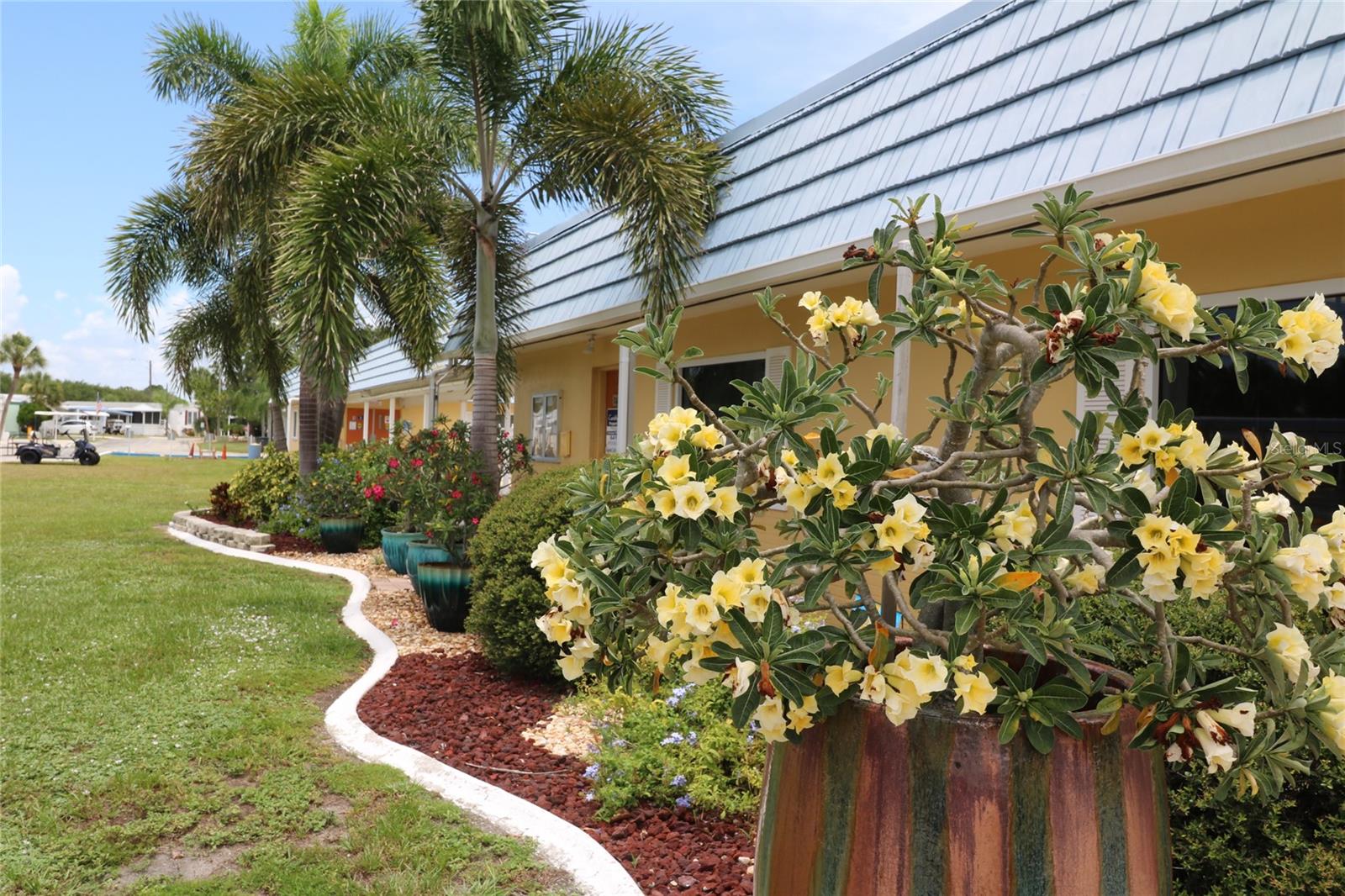 Image 25 of 37 For 221 Saint George Circle