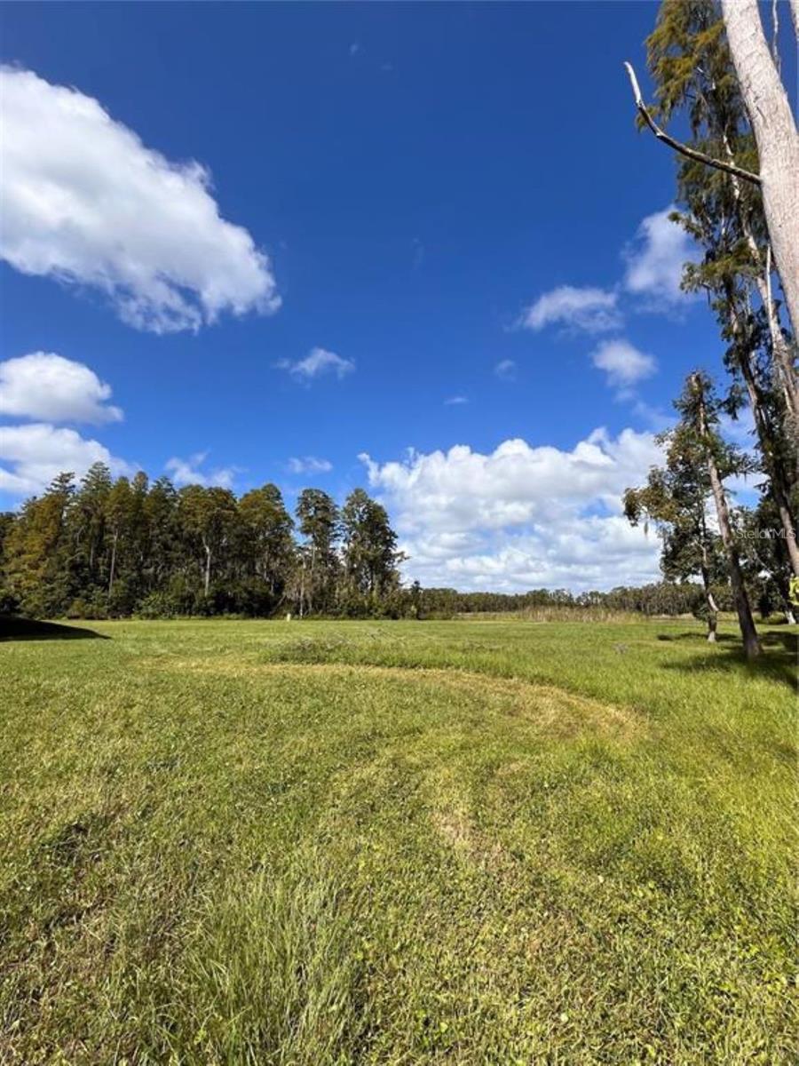 Details for 1029 Van Dyke Road, LUTZ, FL 33548