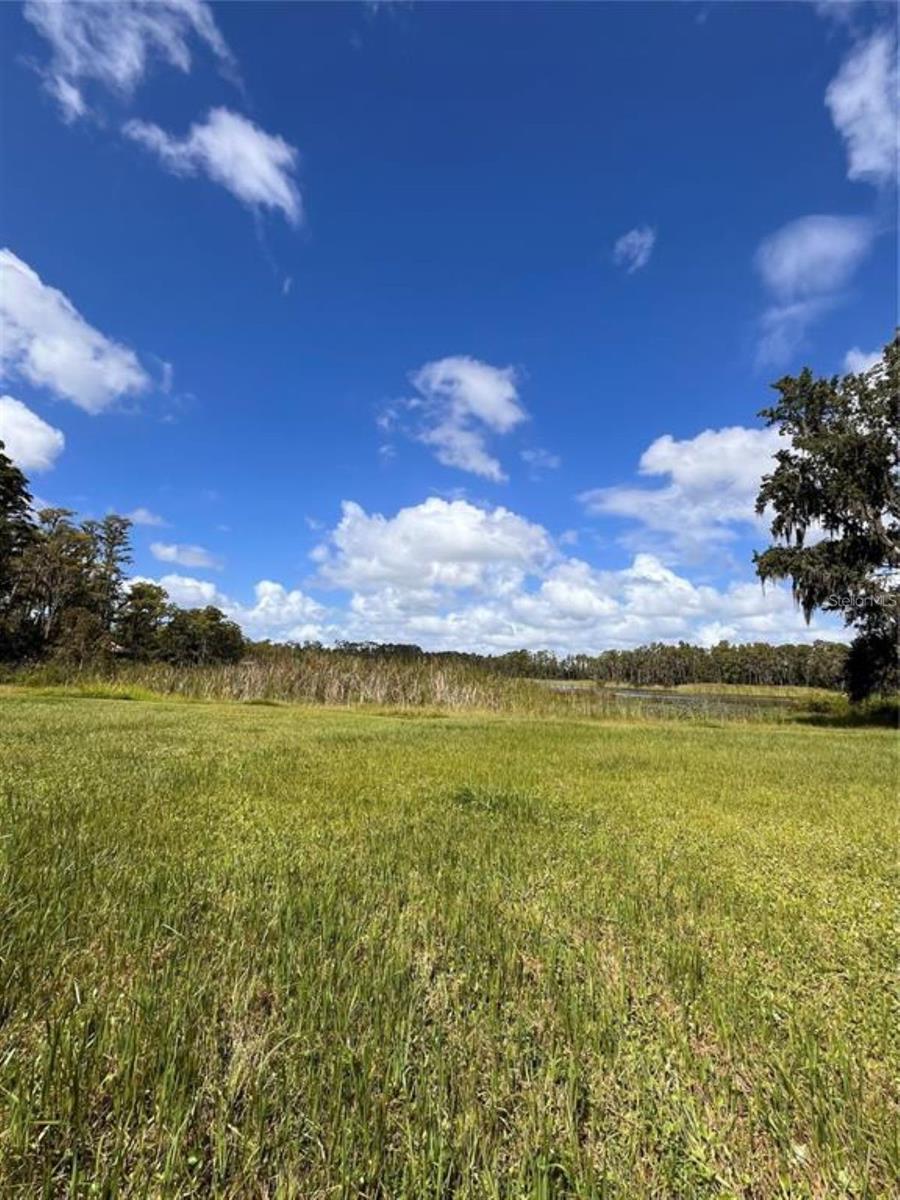 Listing photo id 1 for 1029 Van Dyke Road