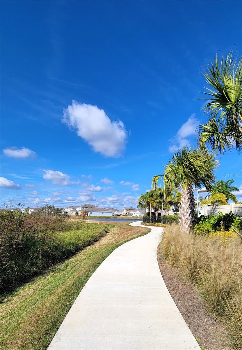 Listing photo id 36 for 3525 Marigold Patch Court