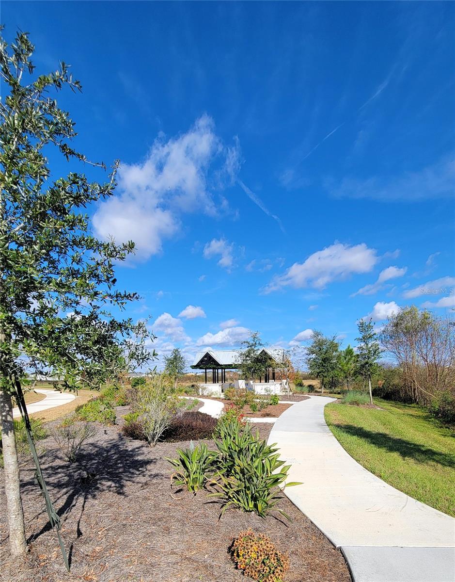 Listing photo id 38 for 3525 Marigold Patch Court