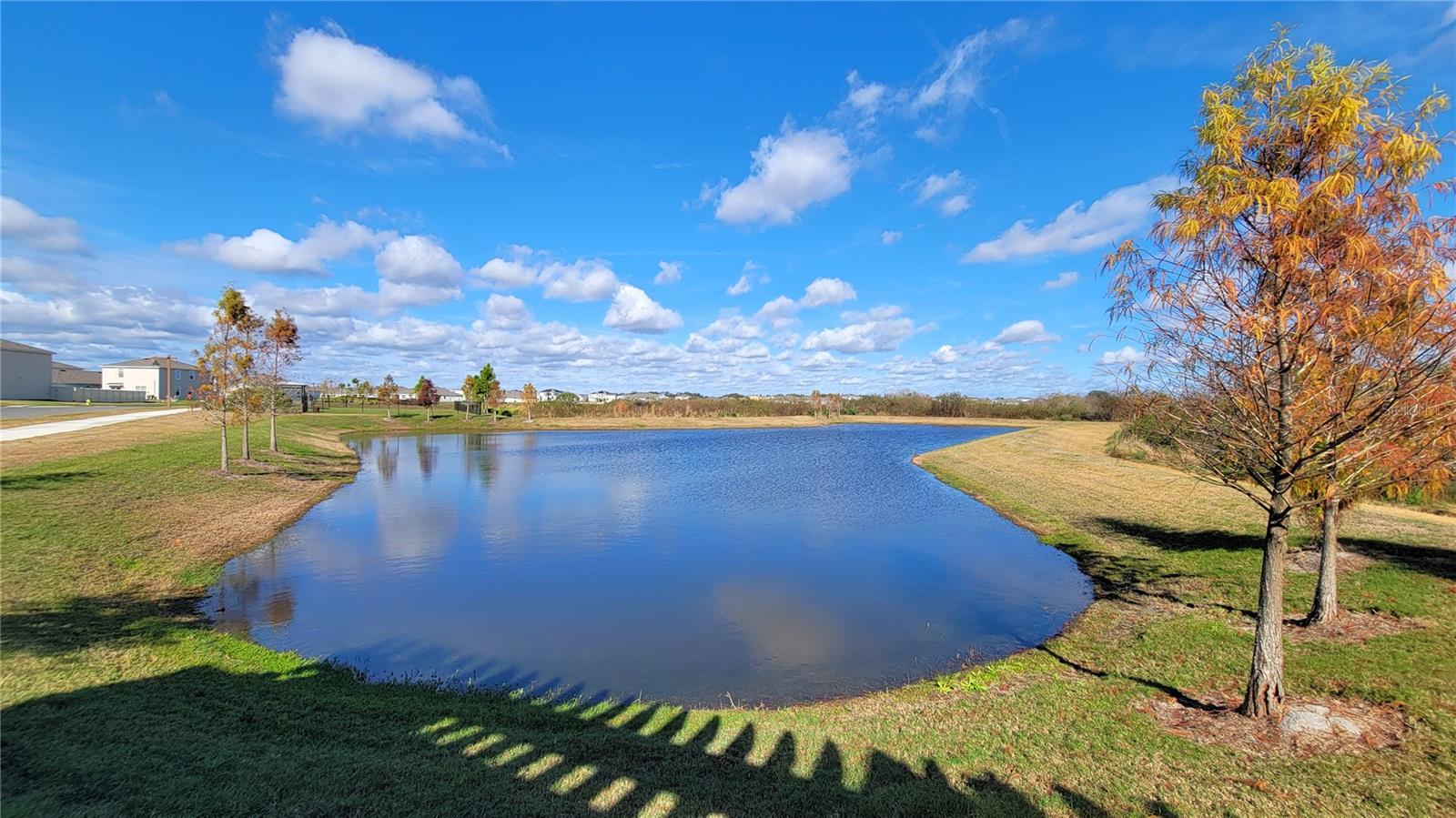 Listing photo id 40 for 3525 Marigold Patch Court