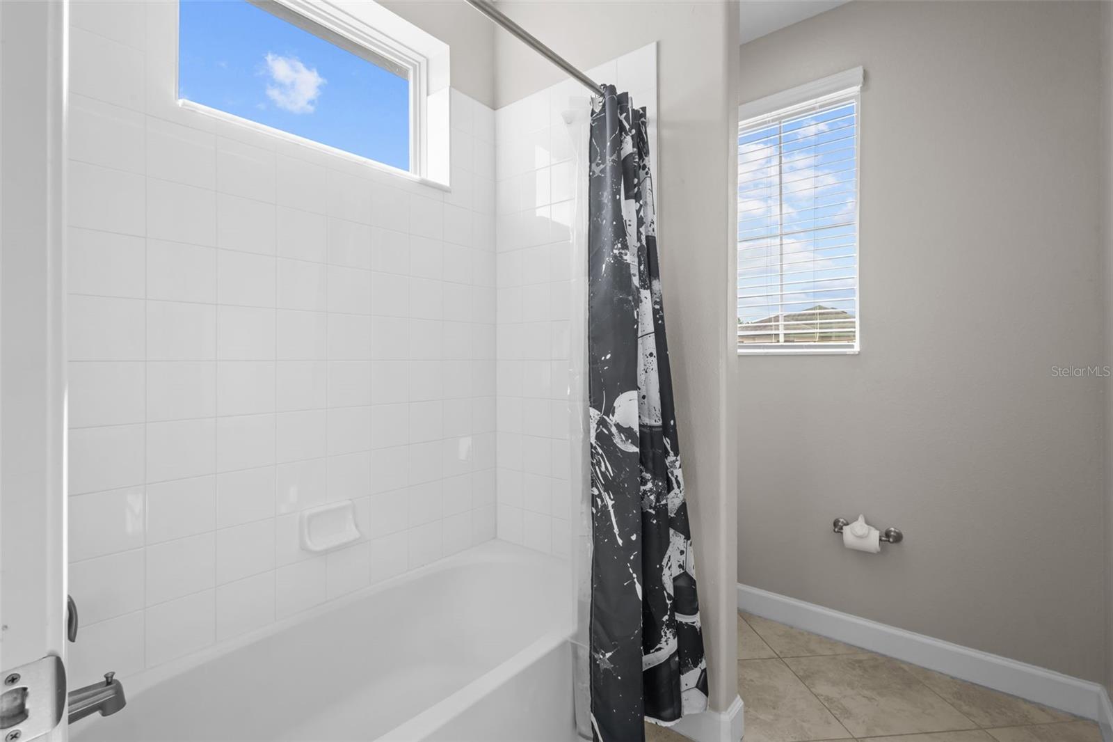 Image 34 of 60 For 4465 Tubular Run