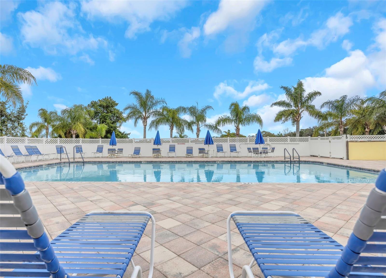 Image 38 of 45 For 39820 Us Highway 19 N 99