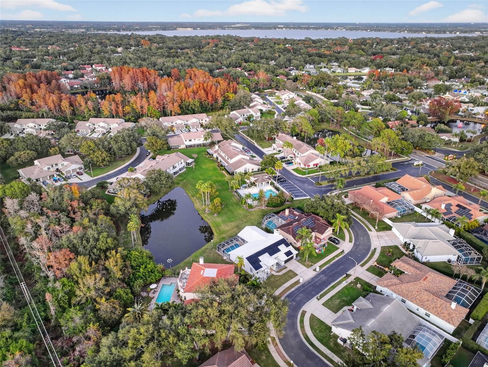 Image 100 of 100 For 1123 Hounds Run