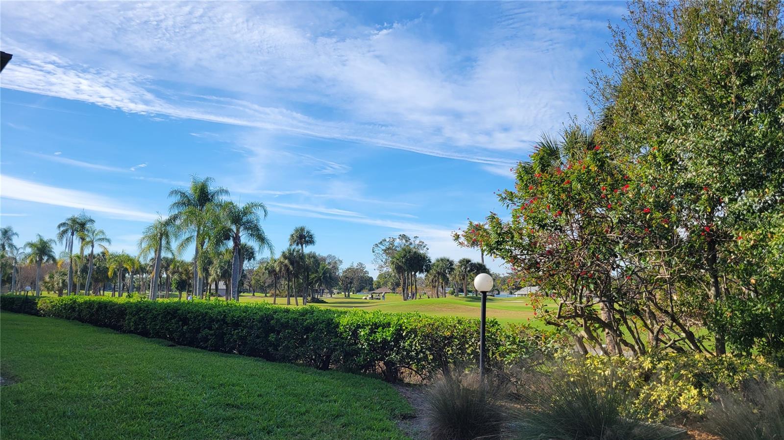 Image 50 of 60 For 12300 Vonn Road 10201