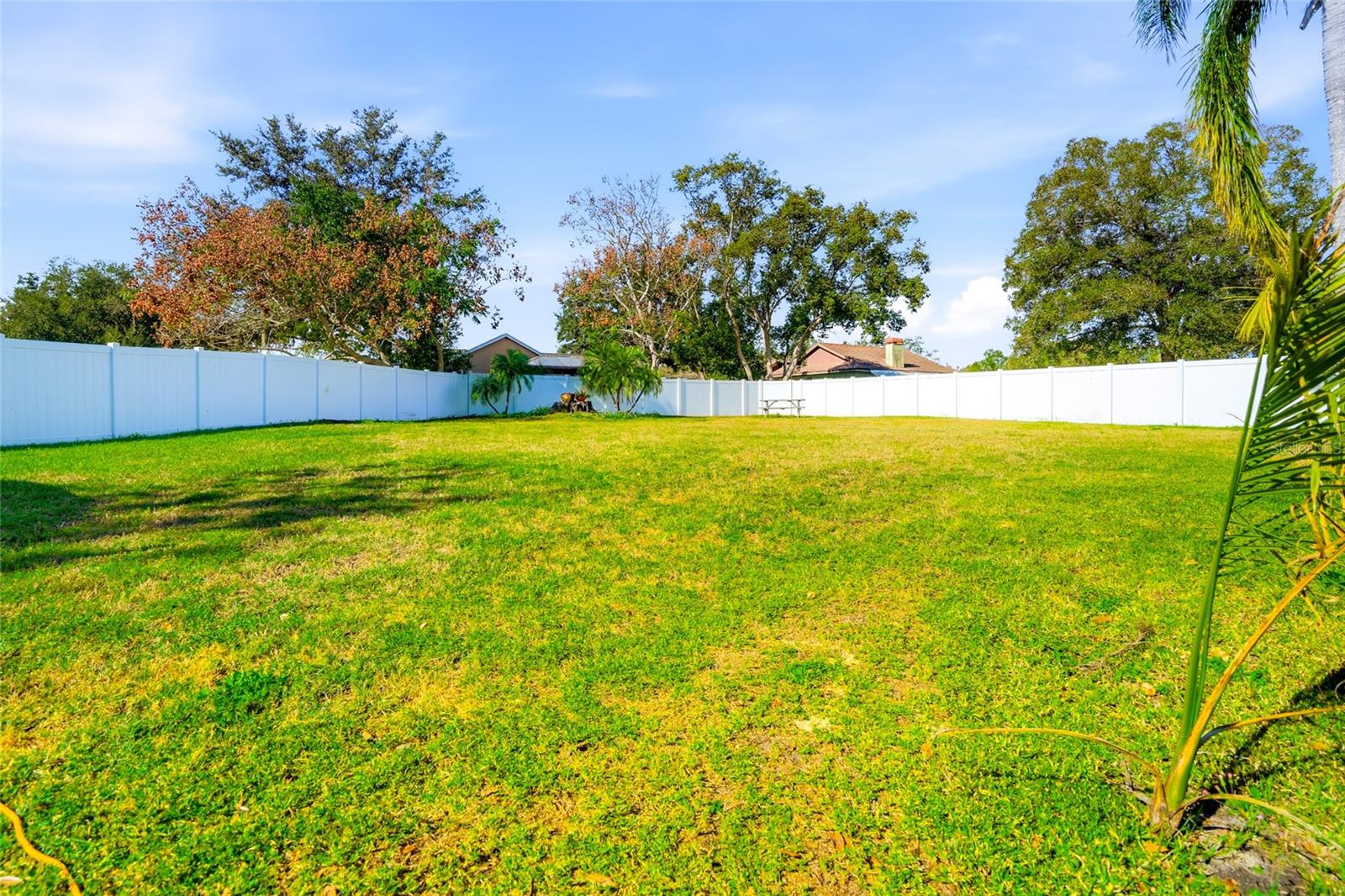 Image 32 of 54 For 23209 Blue Ridge Place