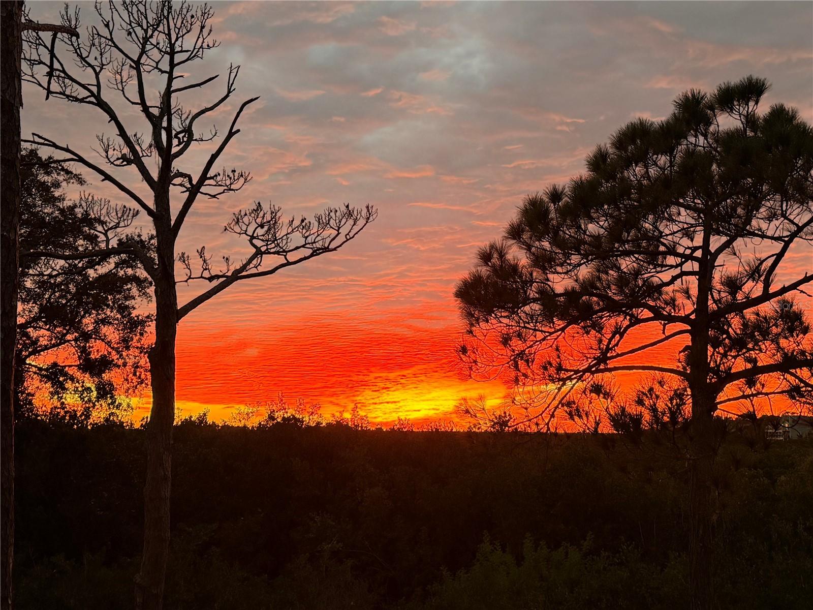 Image 3 of 80 For 1059 S Pointe Alexis Dr