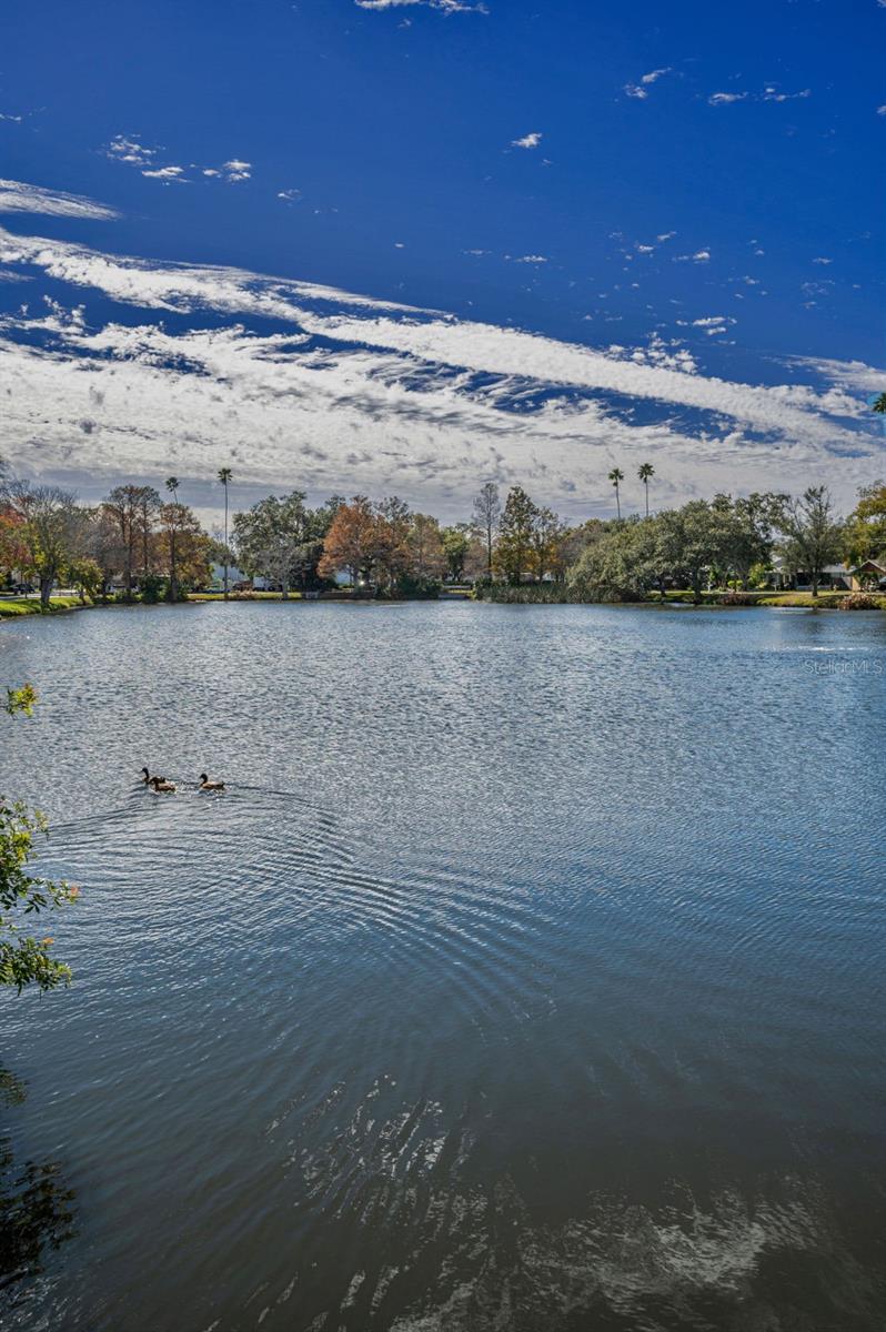 Image 36 of 48 For 1529 Paloma Lane