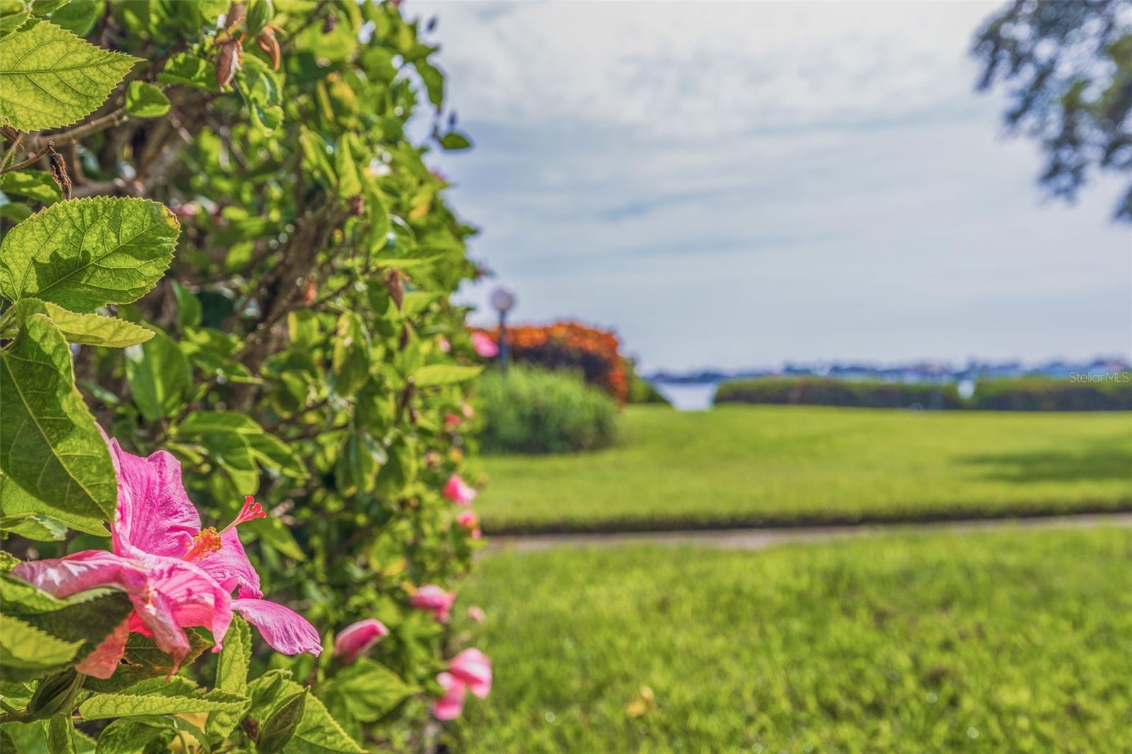 Image 40 of 50 For 6104 Palma Del Mar Boulevard S 404