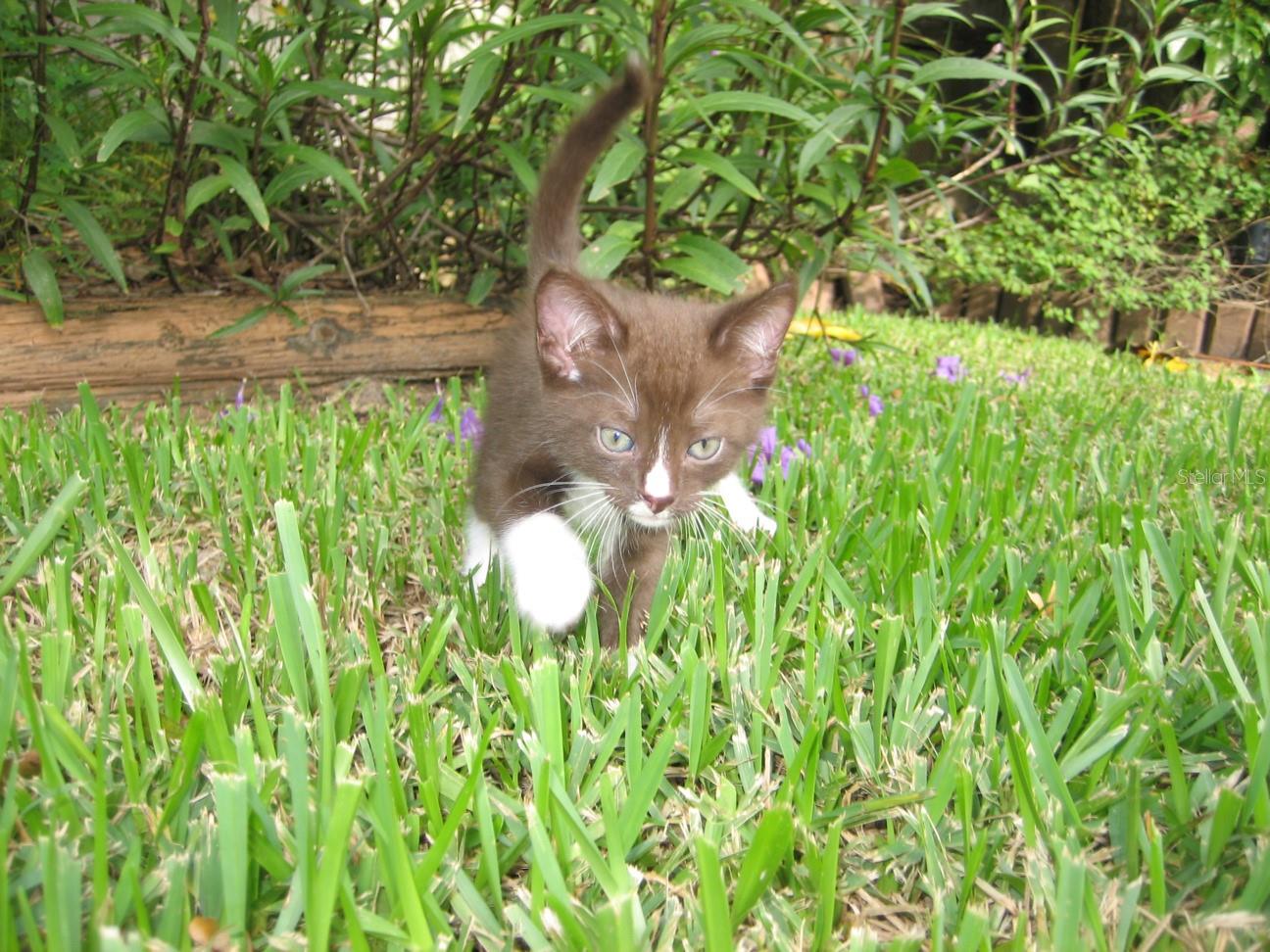 Image 52 of 71 For 5980 Shore Boulevard S 111