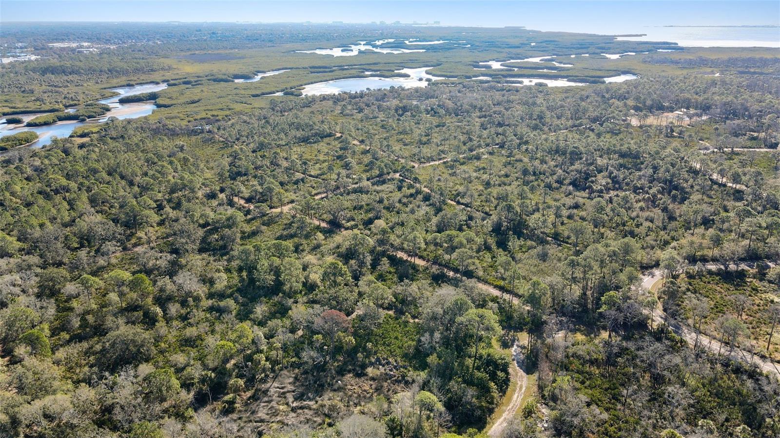 Image 34 of 36 For 12353 Bayou Flats Lane