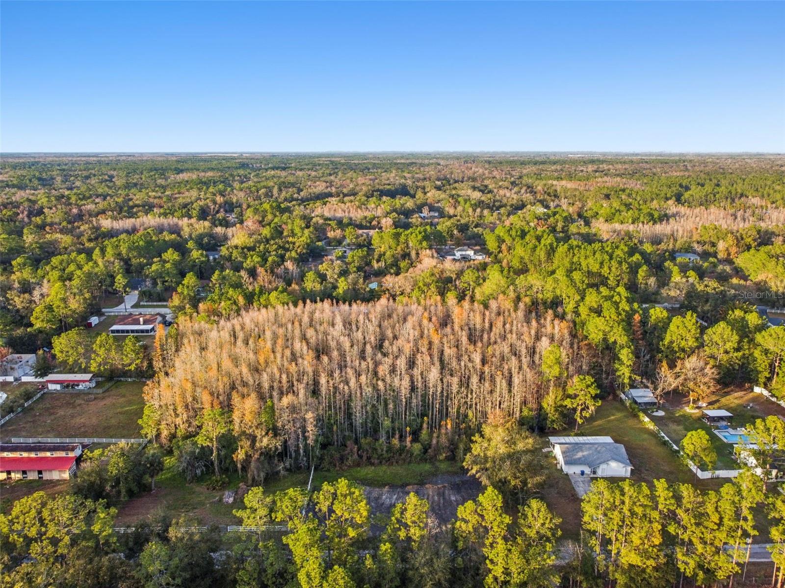 Image 10 of 29 For 26305 Bluestripe Drive