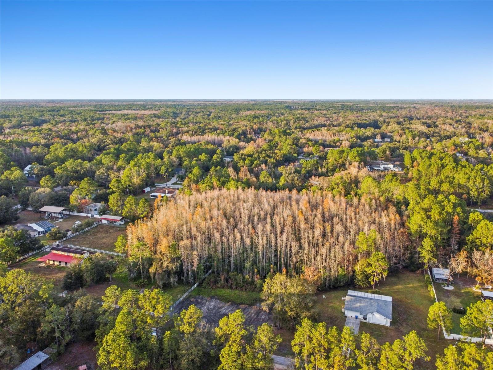 Image 11 of 29 For 26305 Bluestripe Drive