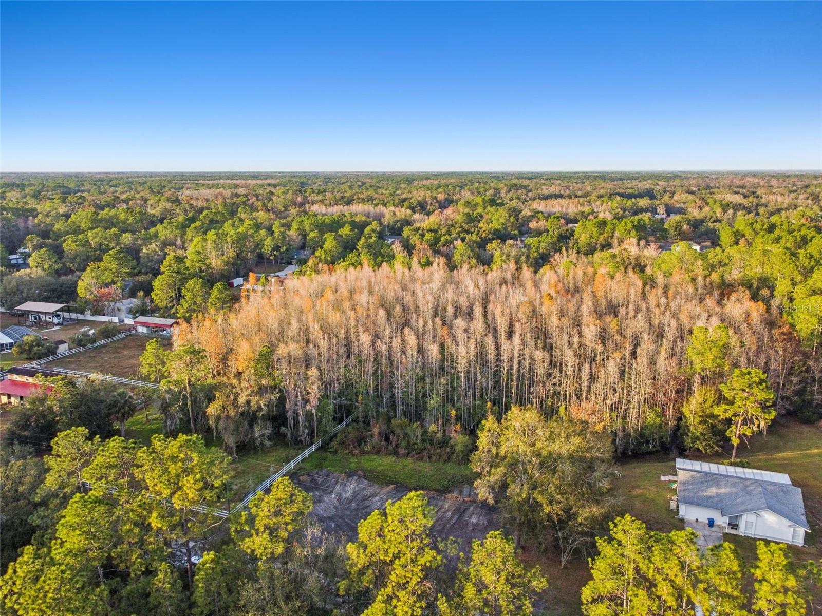 Image 12 of 29 For 26305 Bluestripe Drive