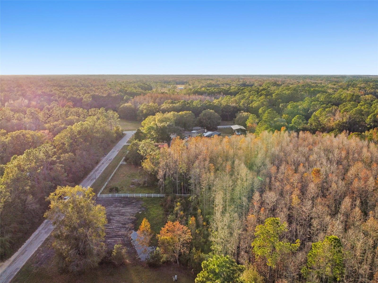 Image 13 of 29 For 26305 Bluestripe Drive