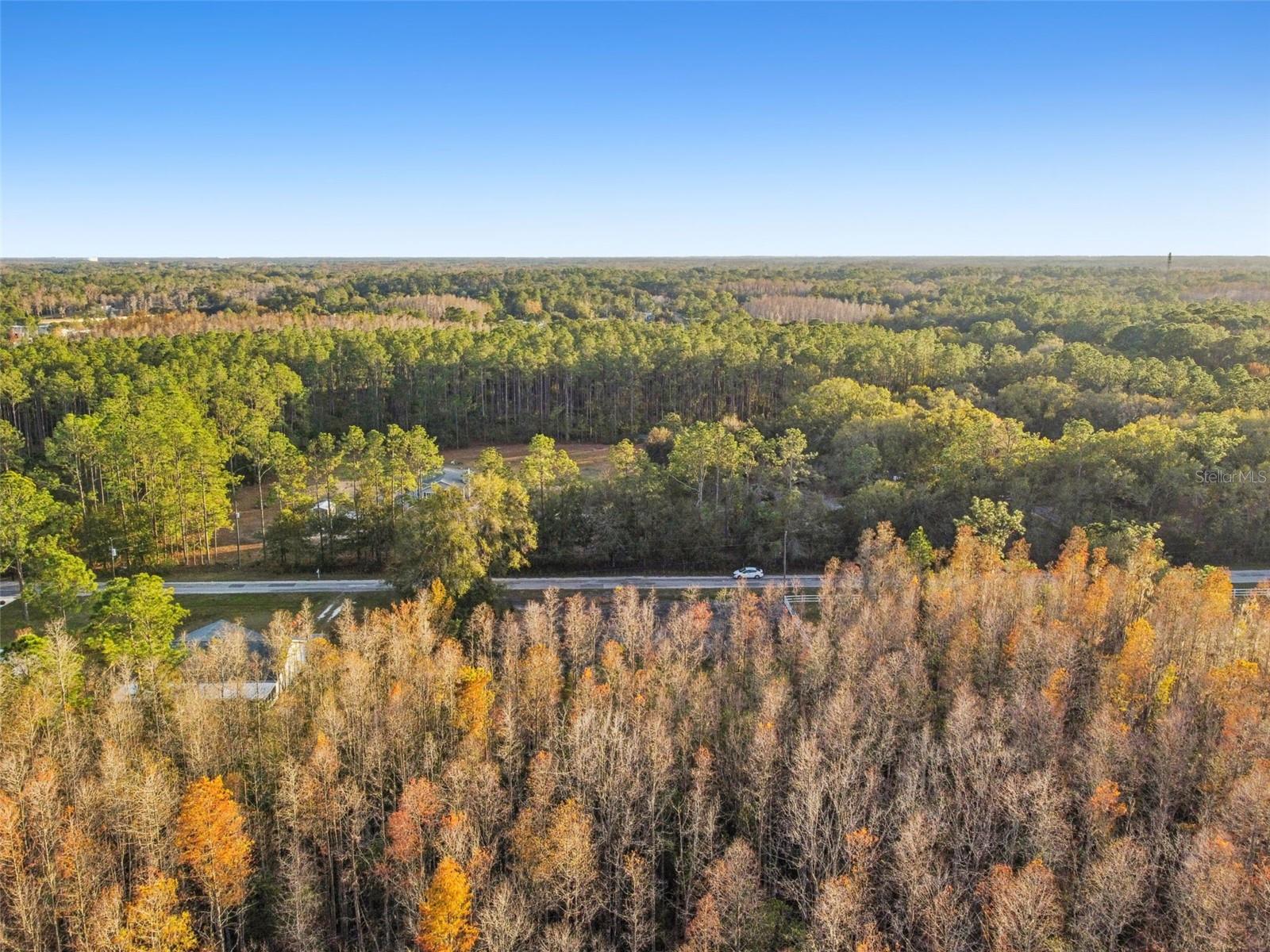 Image 14 of 29 For 26305 Bluestripe Drive