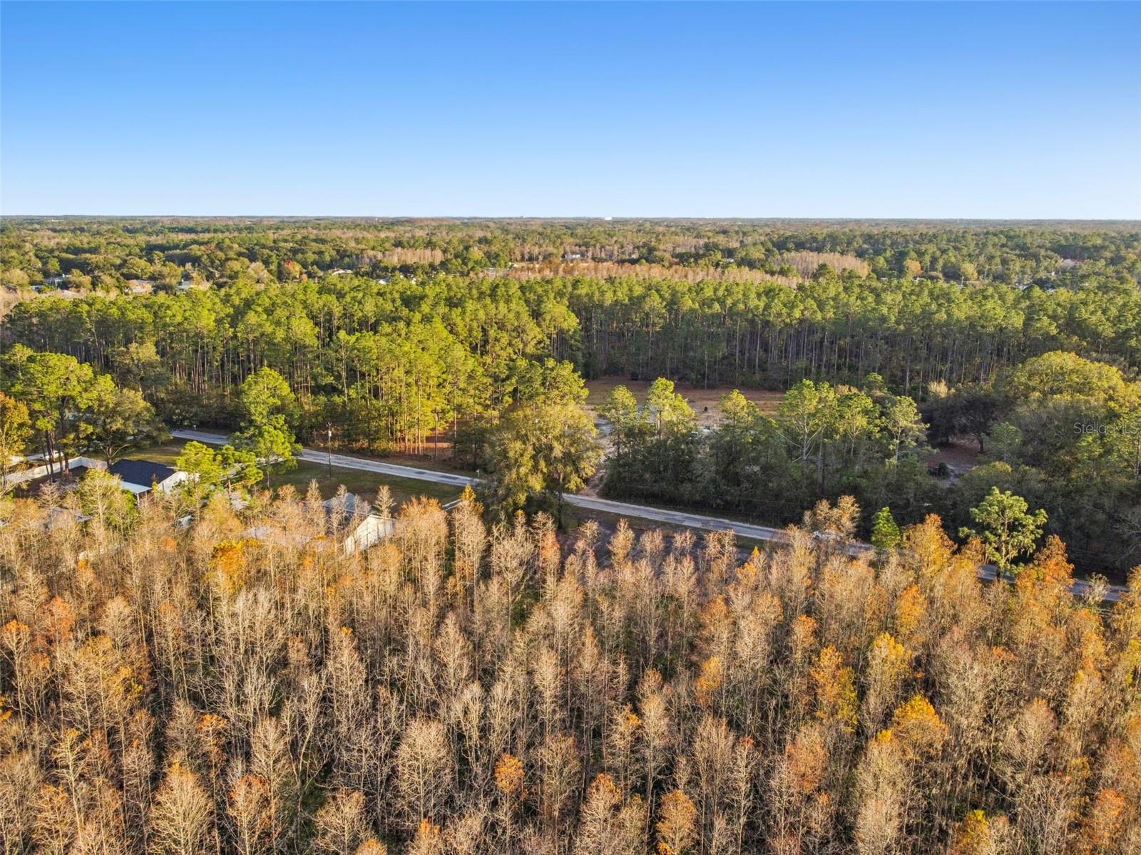 Image 15 of 29 For 26305 Bluestripe Drive