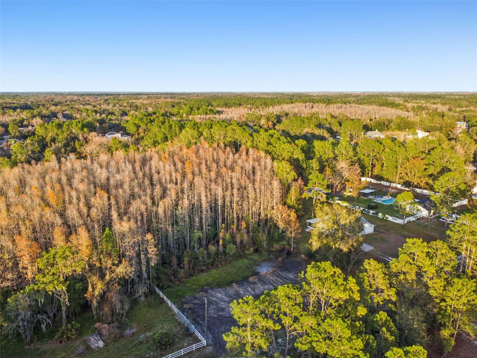 Image 17 of 29 For 26305 Bluestripe Drive