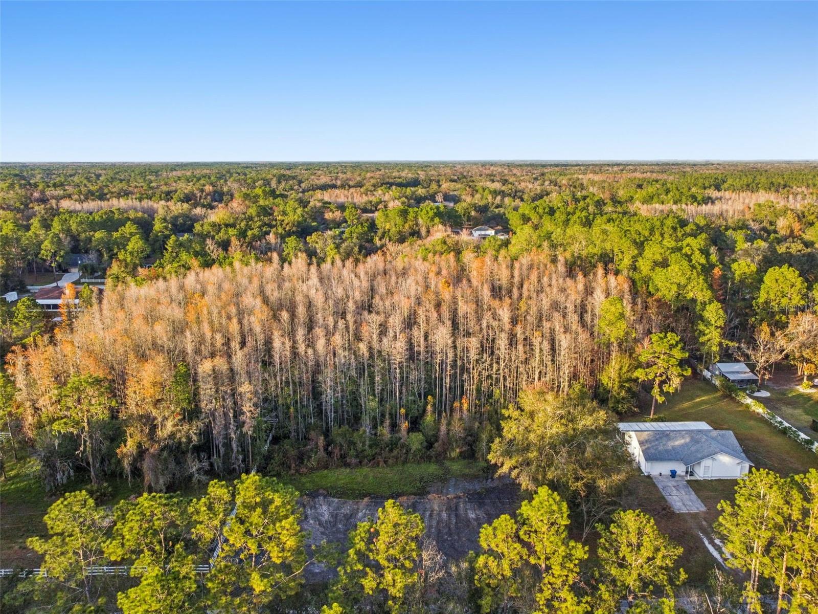 Image 18 of 29 For 26305 Bluestripe Drive