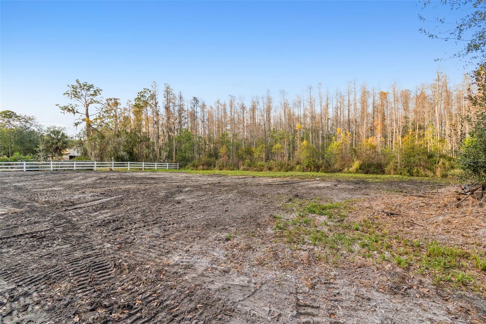 Image 23 of 29 For 26305 Bluestripe Drive