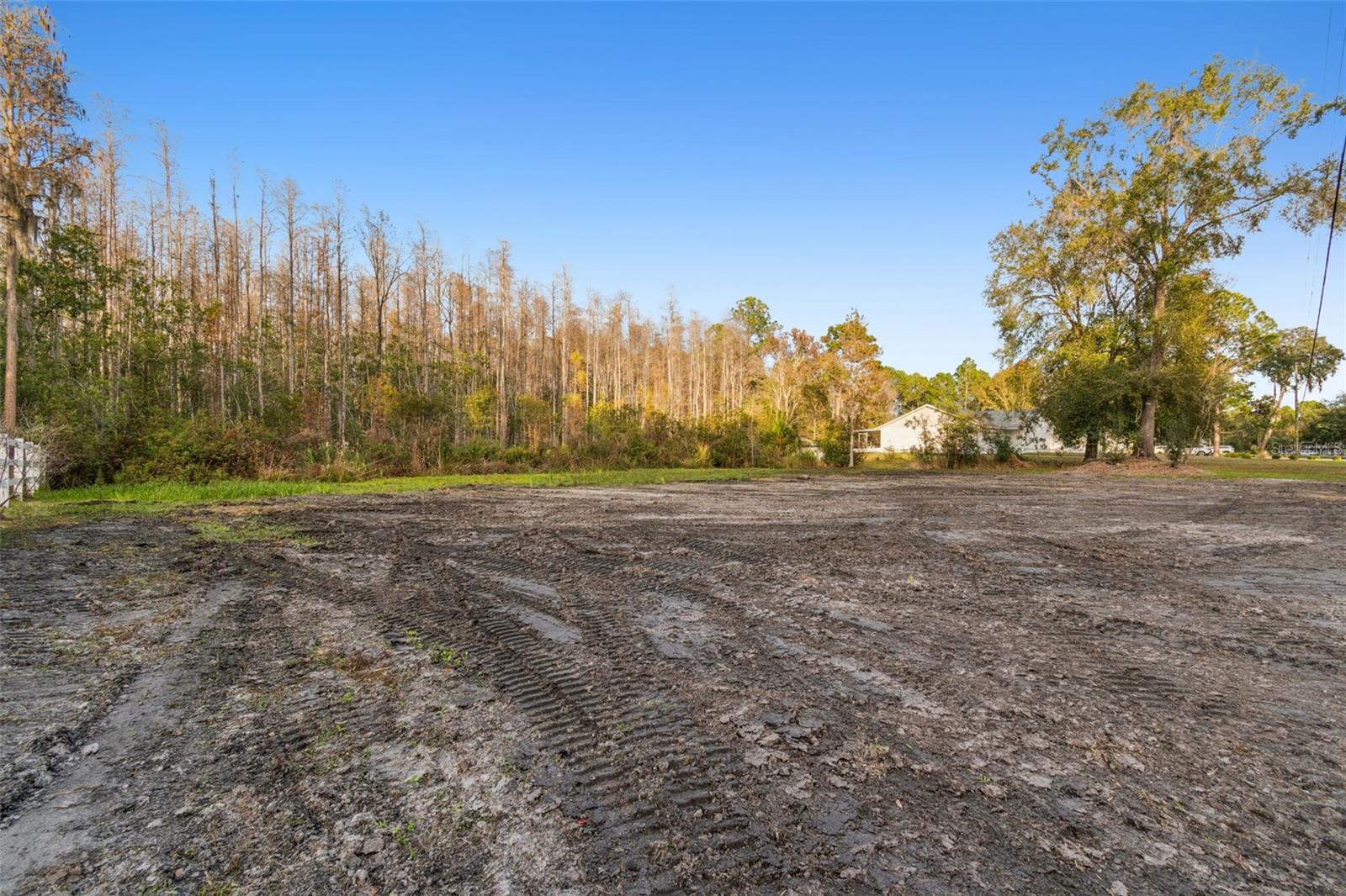 Image 24 of 29 For 26305 Bluestripe Drive