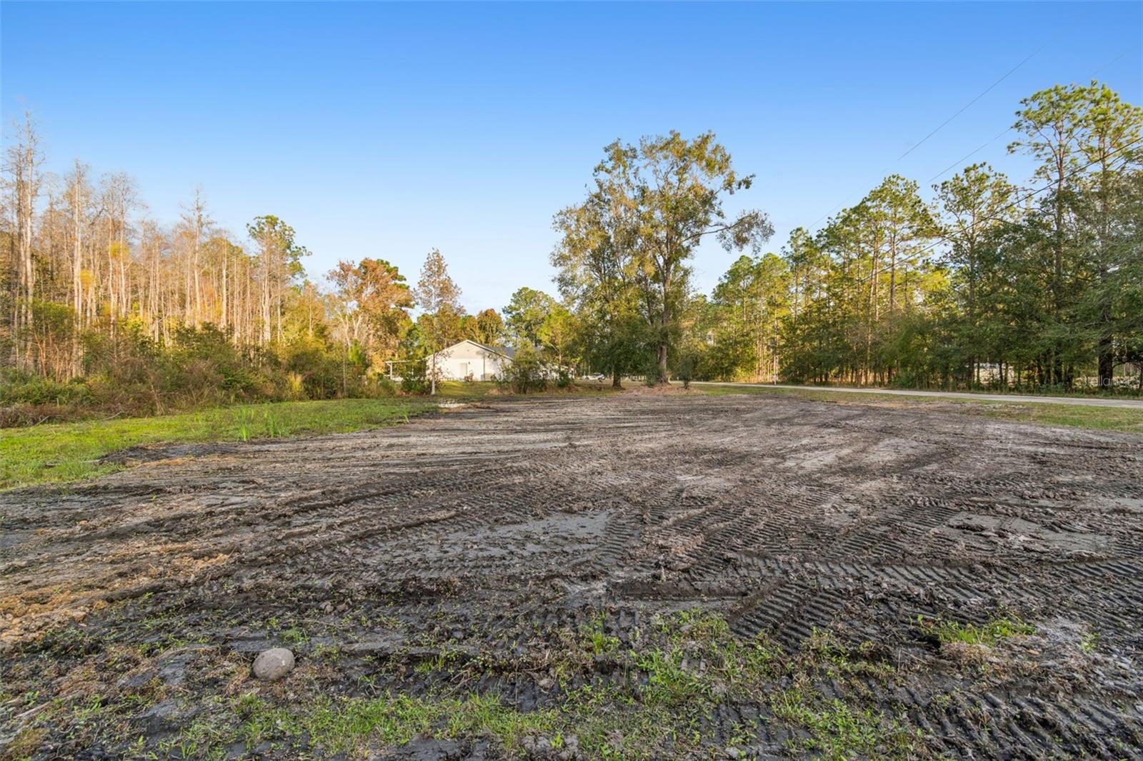 Image 25 of 29 For 26305 Bluestripe Drive