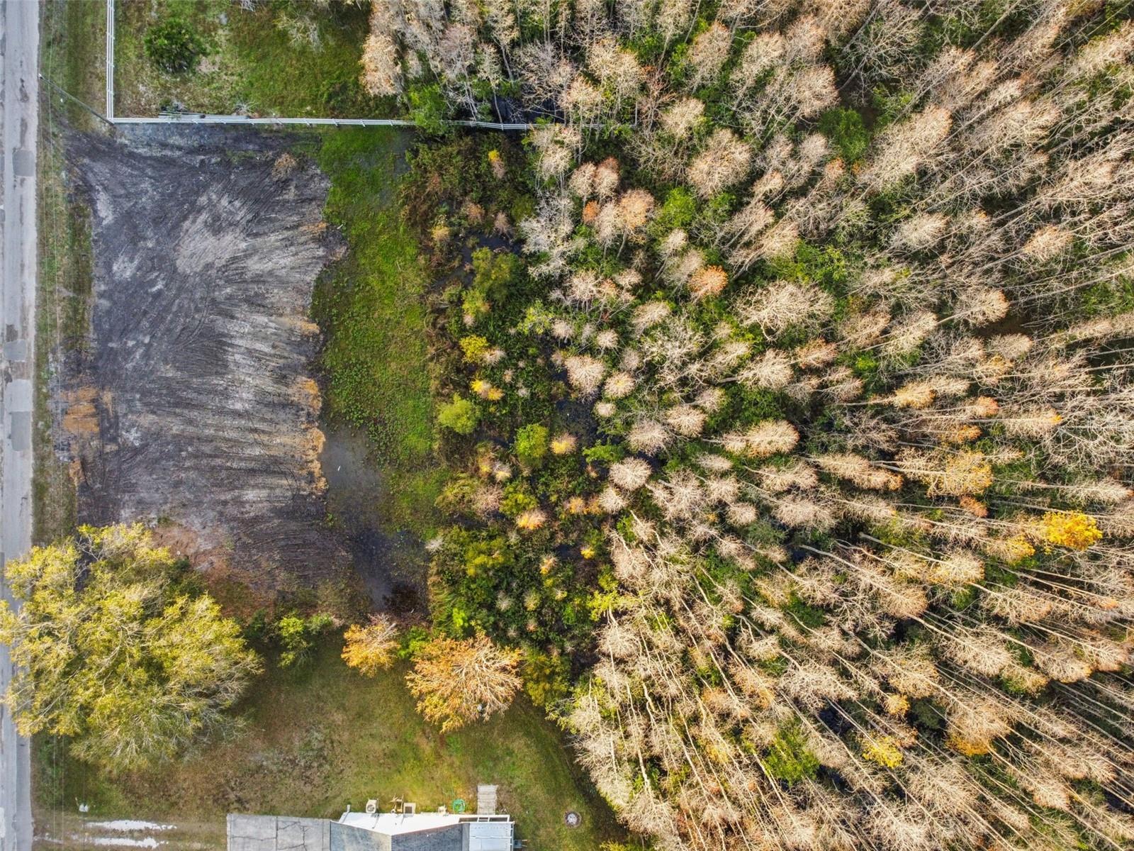 Image 4 of 29 For 26305 Bluestripe Drive