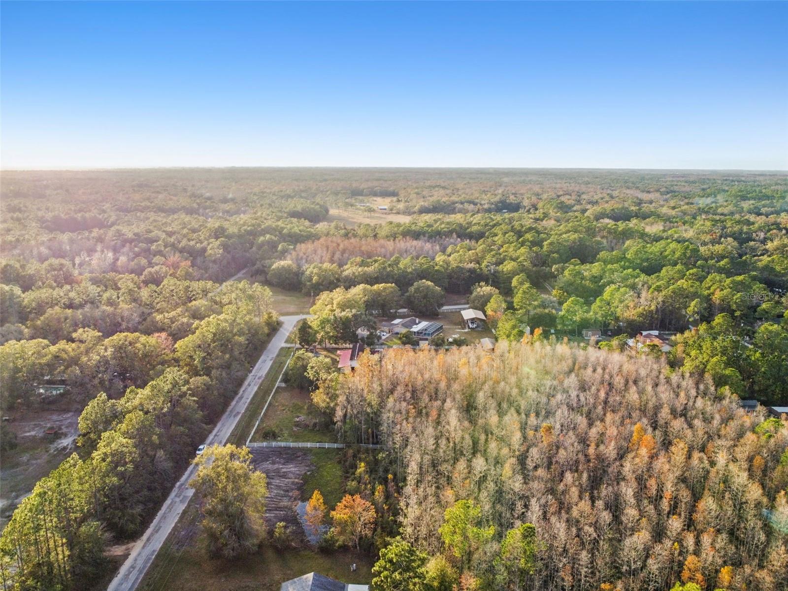 Image 5 of 29 For 26305 Bluestripe Drive